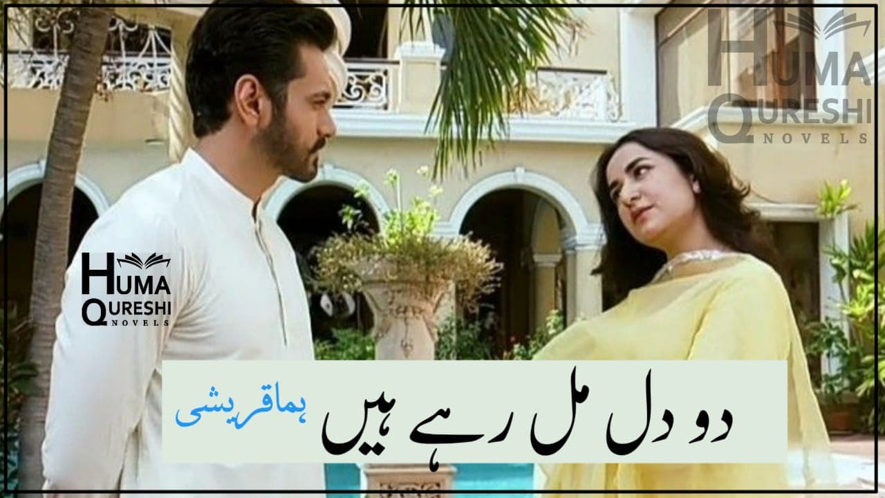 Do Dil Mil Rahy Hein Complete Urdu Novel (YT Novel) banner